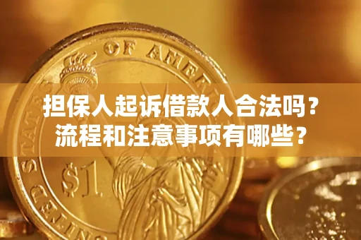 武汉担保人起诉借款人合法吗？流程和注意事项有哪些？