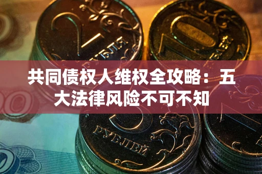 武汉共同债权人维权全攻略：五大法律风险不可不知