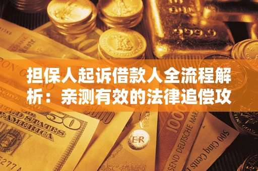 武汉担保人起诉借款人全流程解析：亲测有效的法律追偿攻略
