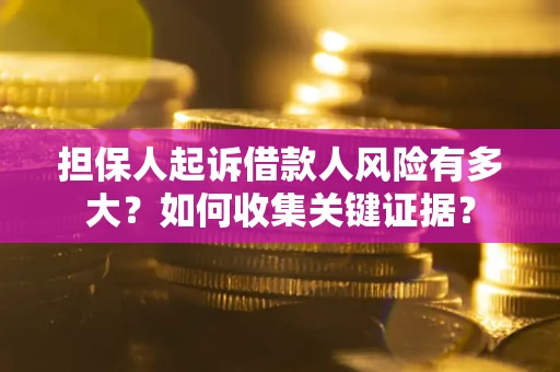 武汉担保人起诉借款人风险有多大？如何收集关键证据？