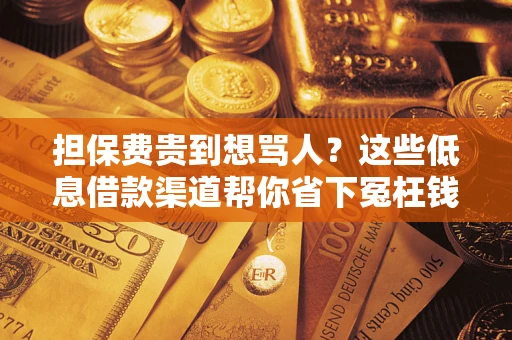 武汉担保费贵到想骂人？这些低息借款渠道帮你省下冤枉钱