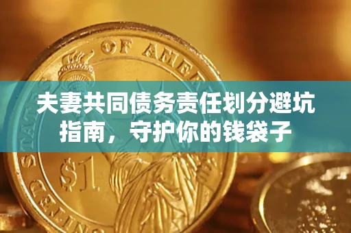 武汉夫妻共同债务责任划分避坑指南，守护你的钱袋子
