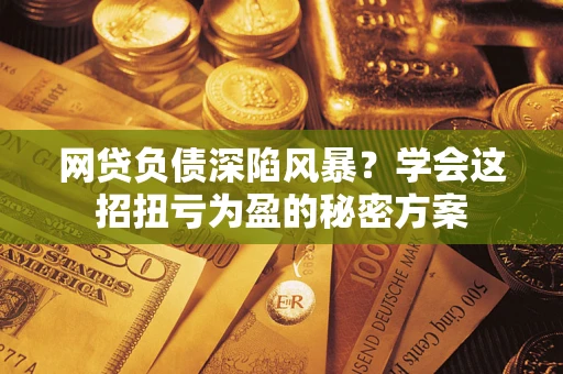 武汉网贷负债深陷风暴？学会这招扭亏为盈的秘密方案